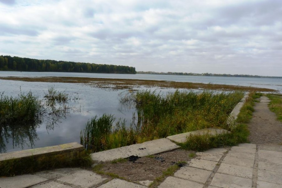 Копенки фото железногорское водохранилище